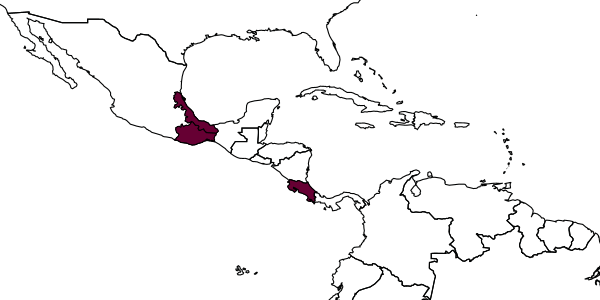 map of Epirhyssa oaxaca     Porter, 1978
